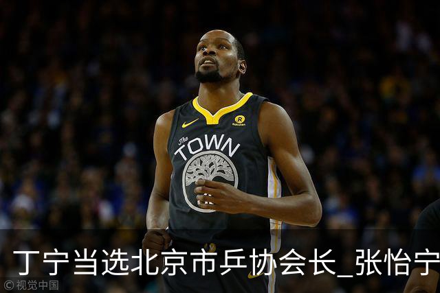 丁宁当选北京市乒协会长 张怡宁当选理事