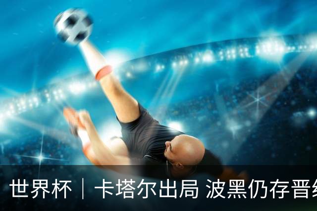 世界杯｜卡塔尔出局 波黑仍存晋级希望