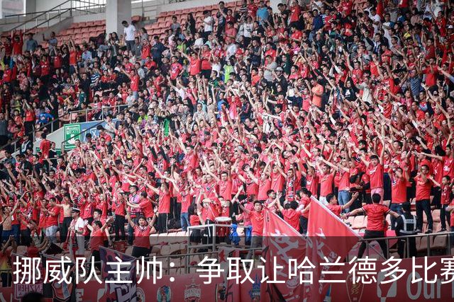 挪威队主帅：争取让哈兰德多比赛 他是世界上最好的前锋之一