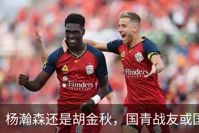 杨瀚森还是胡金秋，国青战友或国家队大哥，谁更适合搭档王俊杰？