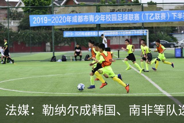 法媒：勒纳尔成韩国、南非等队选帅首选