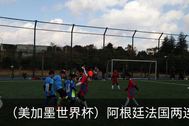 （美加墨世界杯）阿根廷法国两连胜提前出线 梅西登顶历史射手榜